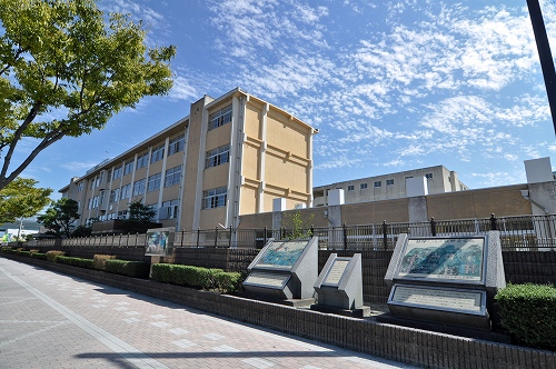 愛宕レジデンス 小学校：愛宕小学校　900m　近隣