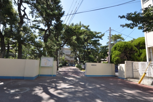 百道タワー 中学校：百道中学校　960m　近隣