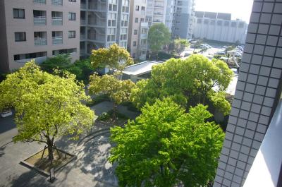 クリスタージュ弐番館 共用部