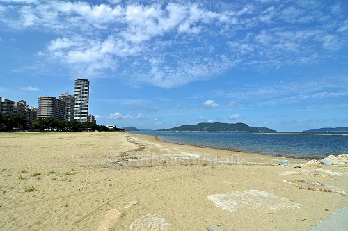 リベーラガーデンパークウイング 海浜中央公園